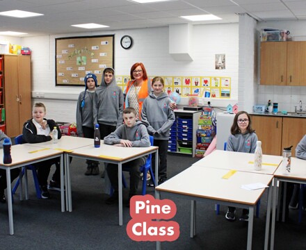 Pine Class1