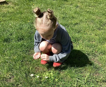 IMG 3274