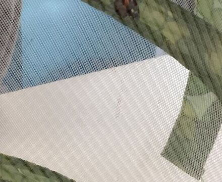 IMG 0322