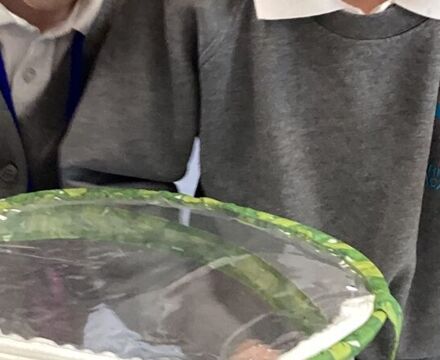 IMG 0324
