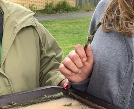 IMG 3577