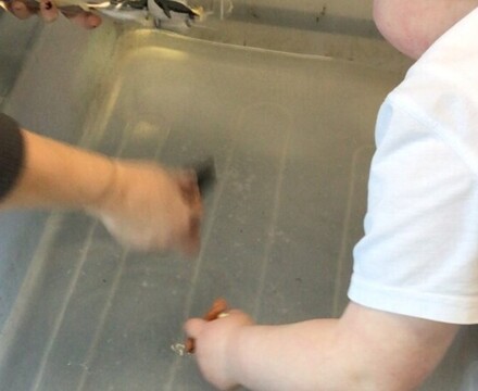Thumbnail IMG 3303
