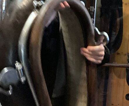 IMG 4669