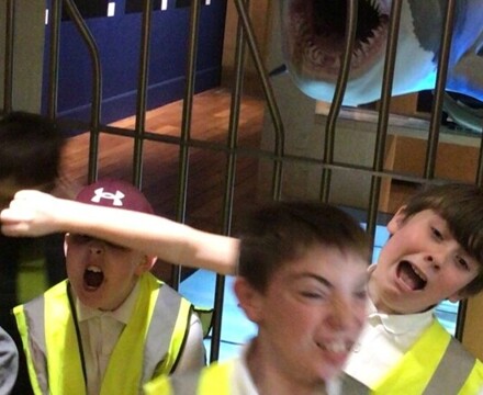 Thumbnail IMG 3706