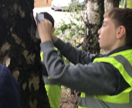 IMG 3909 (1)