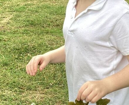 IMG 7616