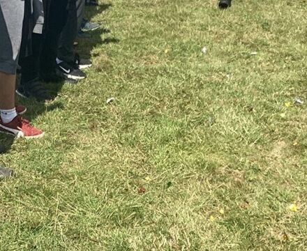 IMG 1034