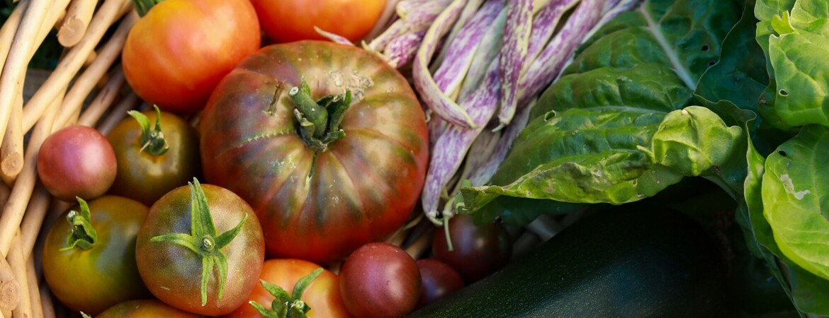 Blog Header Image