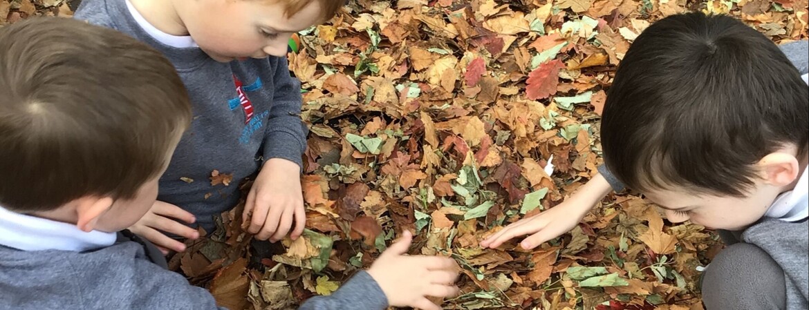 Blog Header Image