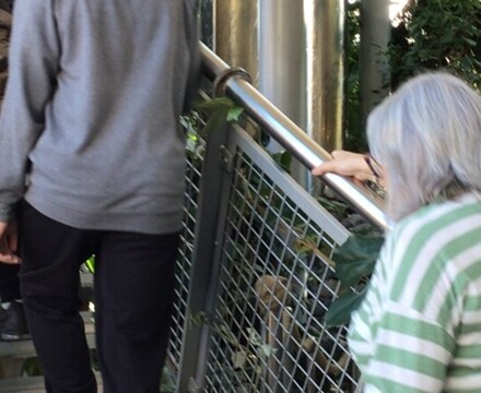 IMG 9476 Emma Ramshaw