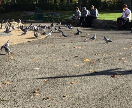 IMG 9488 Emma Ramshaw