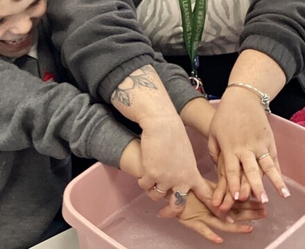 IMG 8200 Holly Francis