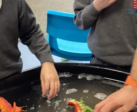 IMG 8172 Holly Francis