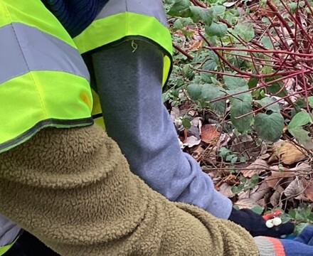 IMG 1561 Estelle Carney