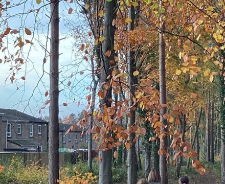 IMG 1587 Estelle Carney