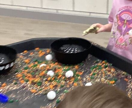 IMG 0999 Megan Armstrong