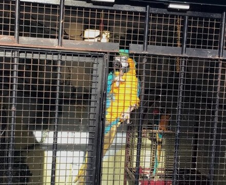 IMG 9608 Estelle Carney