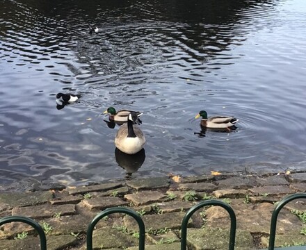 IMG 9565 Estelle Carney