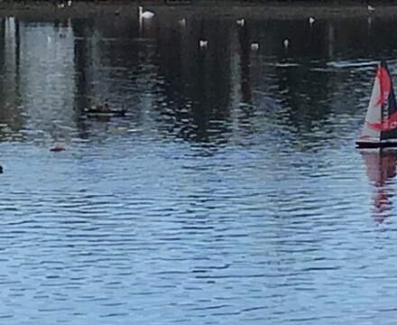 IMG 9555 Estelle Carney