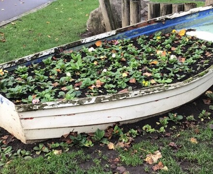 IMG 9552 Estelle Carney