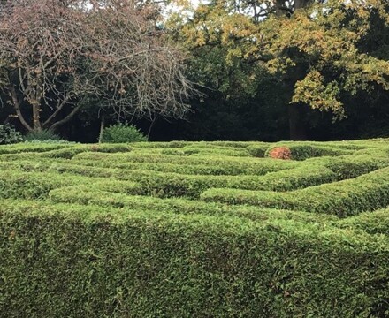 IMG 9543 Estelle Carney