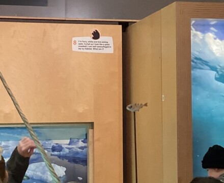 IMG 6589 Jessica Fox