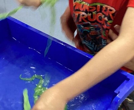 IMG 7564 Amanda Bradbury