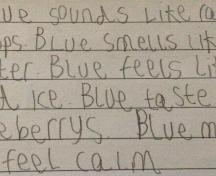 IMG 3779 Amanda Bradbury