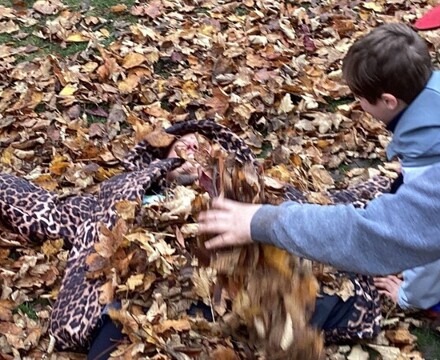 IMG 0446 Helen Ritchie