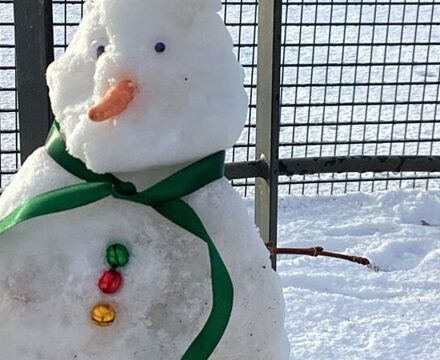 IMG 5088 Megan Savage