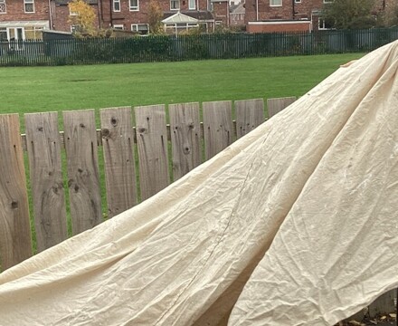 IMG 8187 Paula Watson