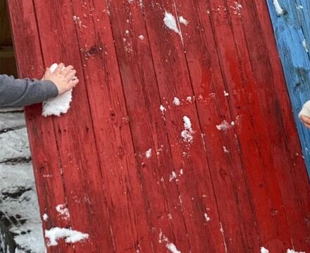 IMG 8527 Jodie Bainbridge