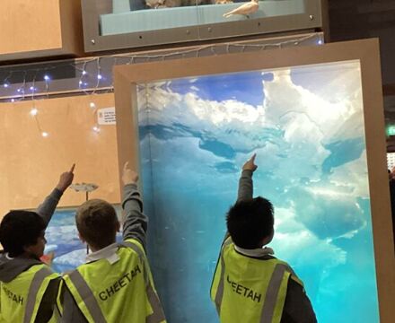 IMG 9937 Angela Willis