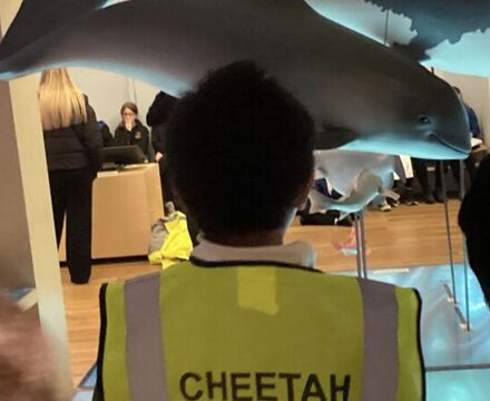 IMG 9910 Angela Willis