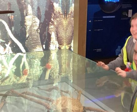 IMG 9906 Angela Willis