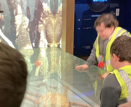 IMG 9905 Angela Willis