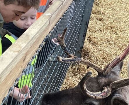 IMG 2166 Lyndsey Hutchinson