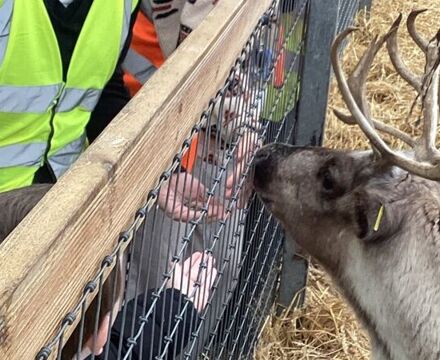 IMG 2163 Lyndsey Hutchinson