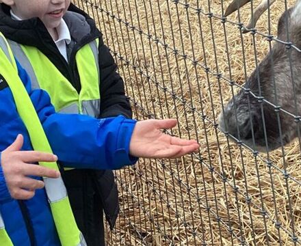 IMG 2161 Lyndsey Hutchinson