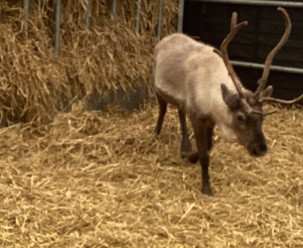 IMG 2787 Claire Ramsey