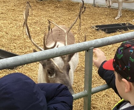 IMG 2809 Claire Ramsey