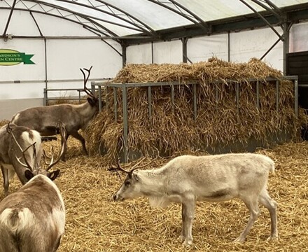 IMG 2811 Claire Ramsey