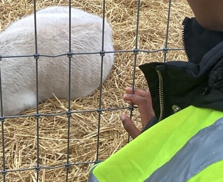 IMG 2779 Claire Ramsey