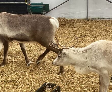 IMG 0632 Angela Willis