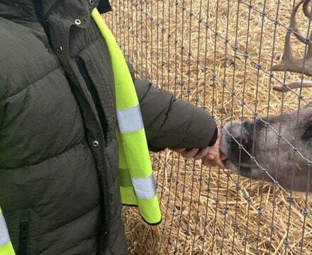 IMG 0630 Angela Willis