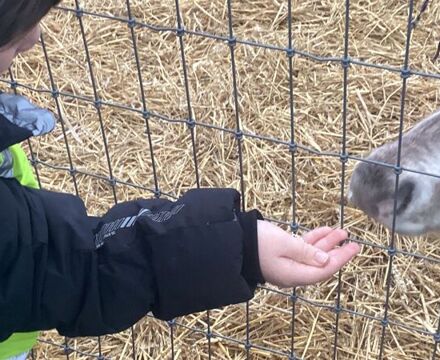 IMG 0626 Angela Willis