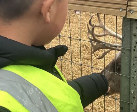 IMG 0617 Angela Willis