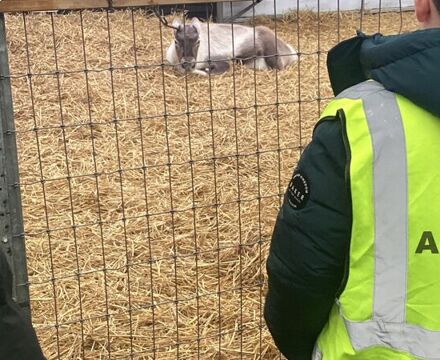 IMG 0612 Angela Willis