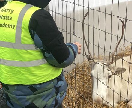 IMG 0611 Angela Willis