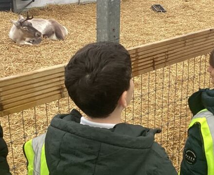 IMG 0610 Angela Willis